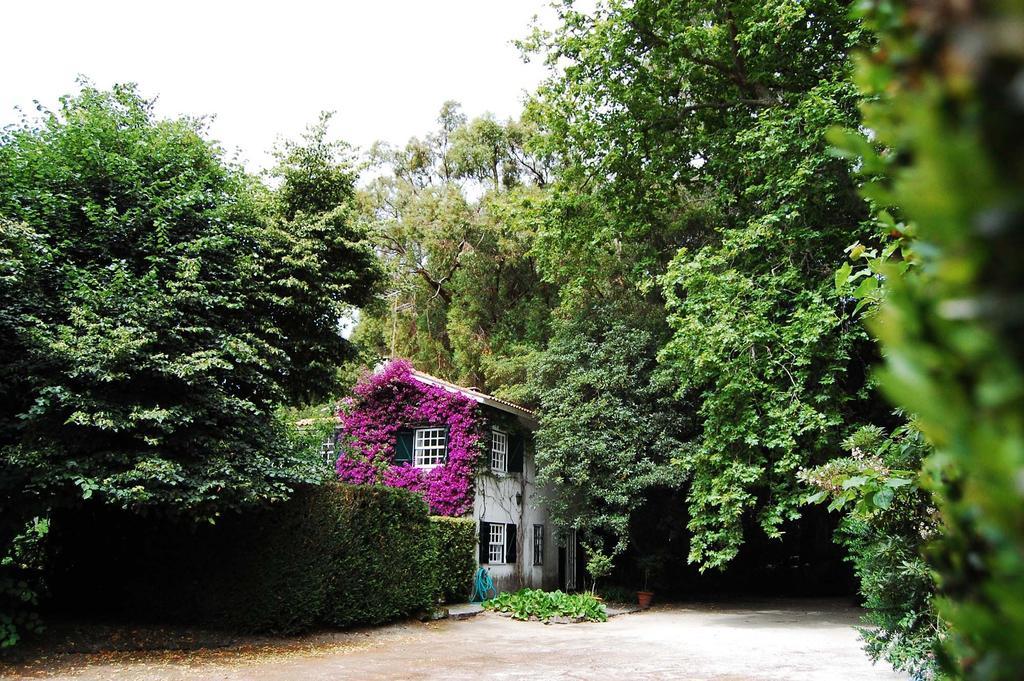 Casa De Esteiro Caminha Kamer foto