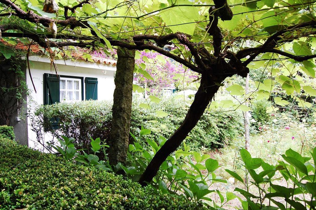 Casa De Esteiro Caminha Buitenkant foto